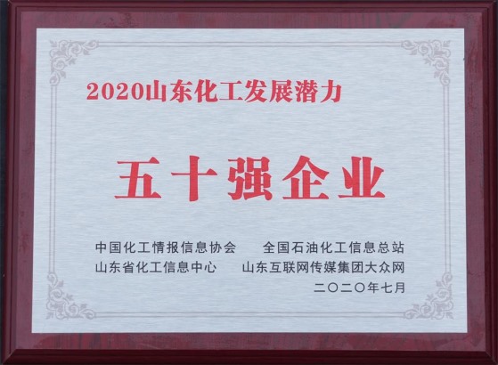 2020山东化工发展潜力五十强企业