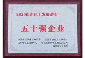 2020山东化工发展潜力五十强企业